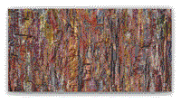 Images ©1998-2009 by Peter L. Hammond  All Rights Reserved